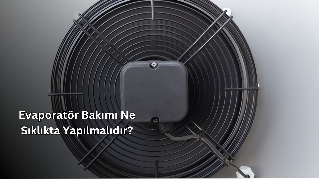 Evaporatör Bakımı Ne Sıklıkta Yapılmalıdır?