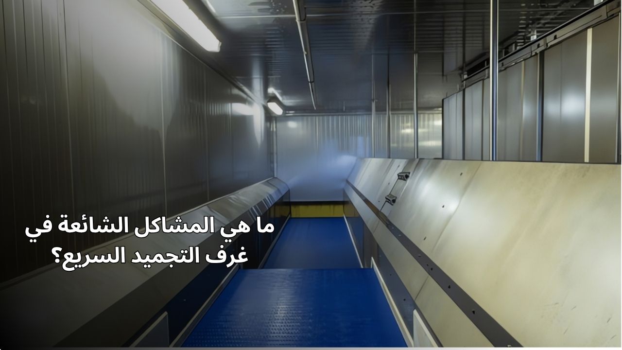 ما هي المشاكل الشائعة في غرفة التجميد؟